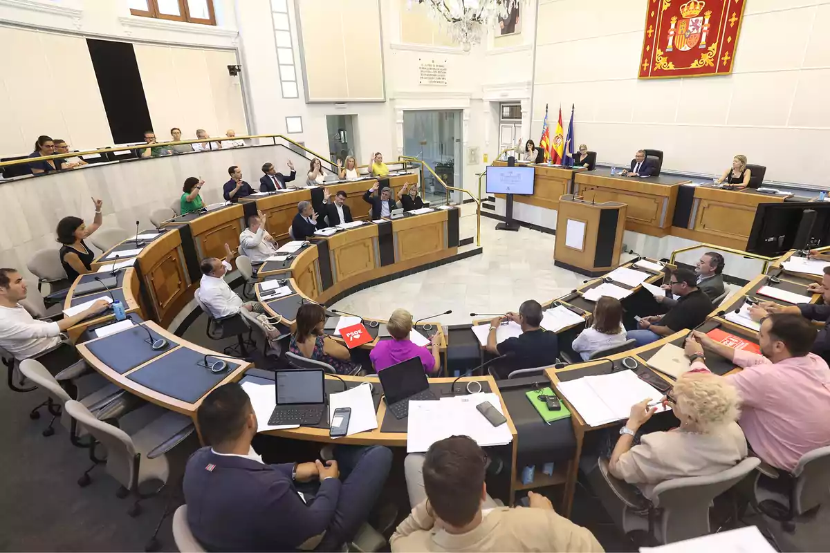 El Pleno de la Diputación de Alicante