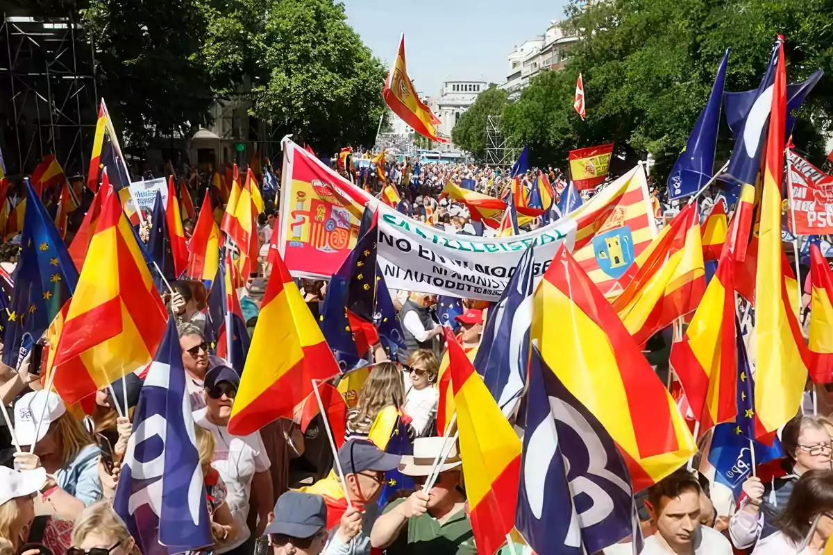 Una multitud de personas participa en una manifestación portando numerosas banderas de España y de la Unión Europea en una calle arbolada.