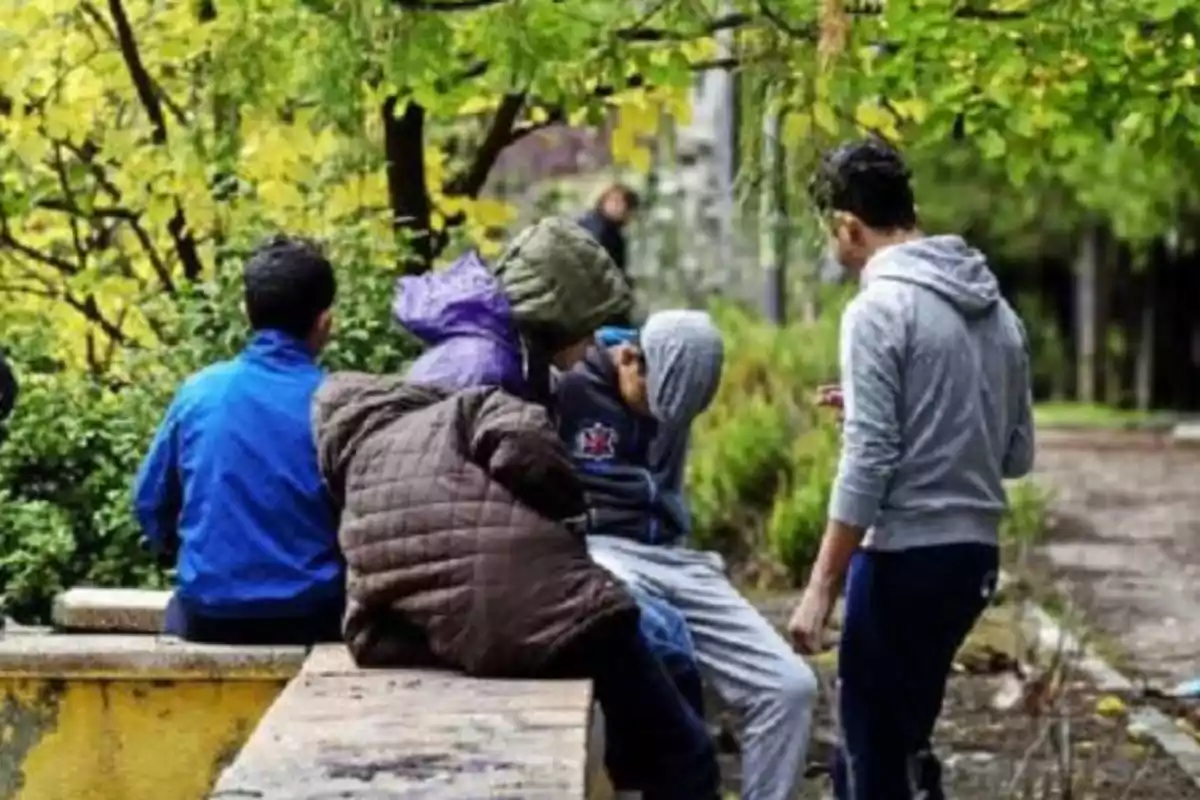 Un grupo de jóvenes con ropa abrigada se reúne en un parque rodeado de árboles y vegetación Un grupo de jóvenes con ropa abrigada se reúne en un parque rodeado de árboles y vegetación