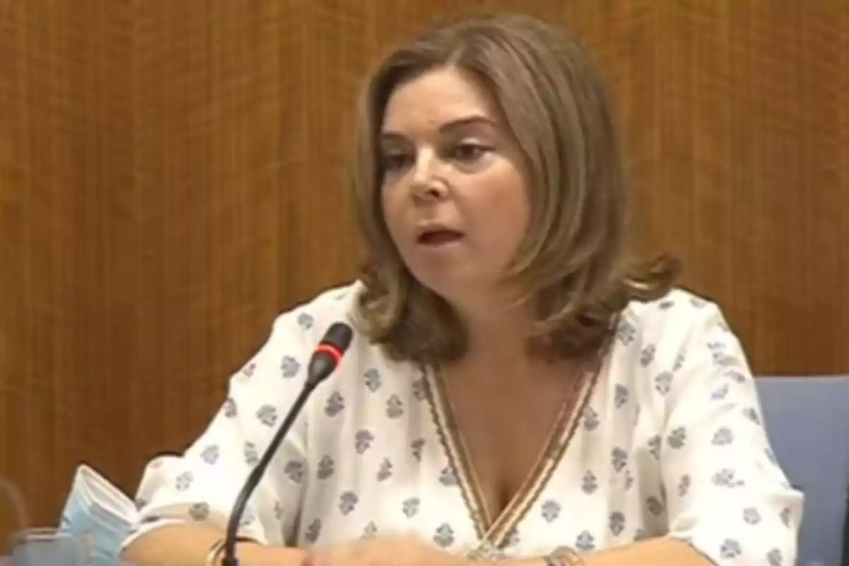 Mujer de cabello castaño claro hablando frente a un micrófono en una sala con paredes de madera Mujer de cabello castaño claro hablando frente a un micrófono en una sala con paredes de madera