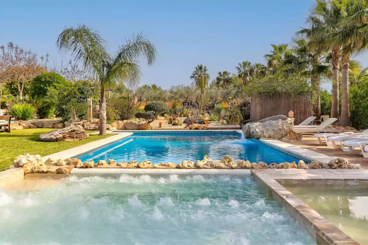 Piscina rodeada de palmeras y vegetación con tumbonas al fondo en un día soleado.