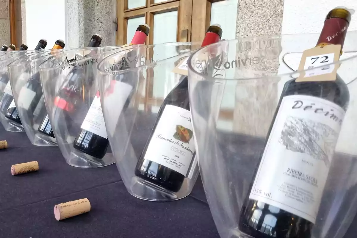 Botellas de vino en cubiteras transparentes sobre una mesa con corchos.