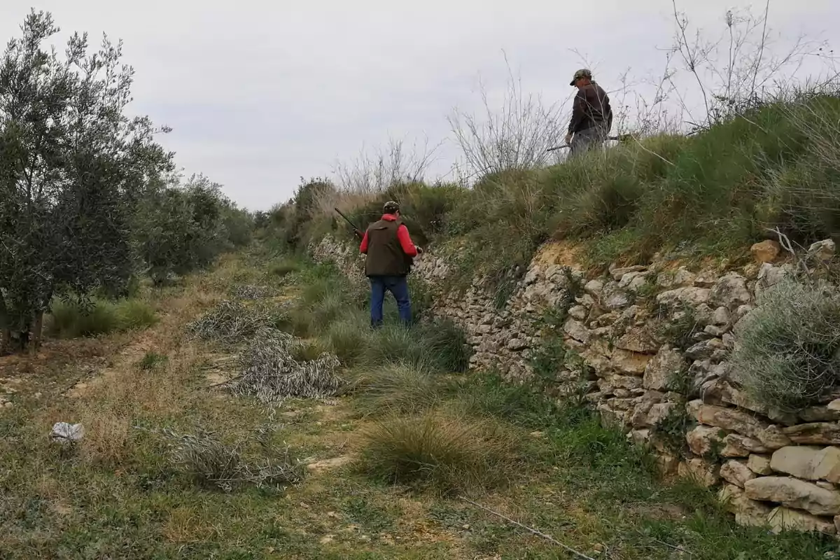 Dos personas caminan por un sendero rural rodeado de vegetación y muros de piedra en un día nublado Dos personas caminan por un sendero rural rodeado de vegetación y muros de piedra en un día nublado