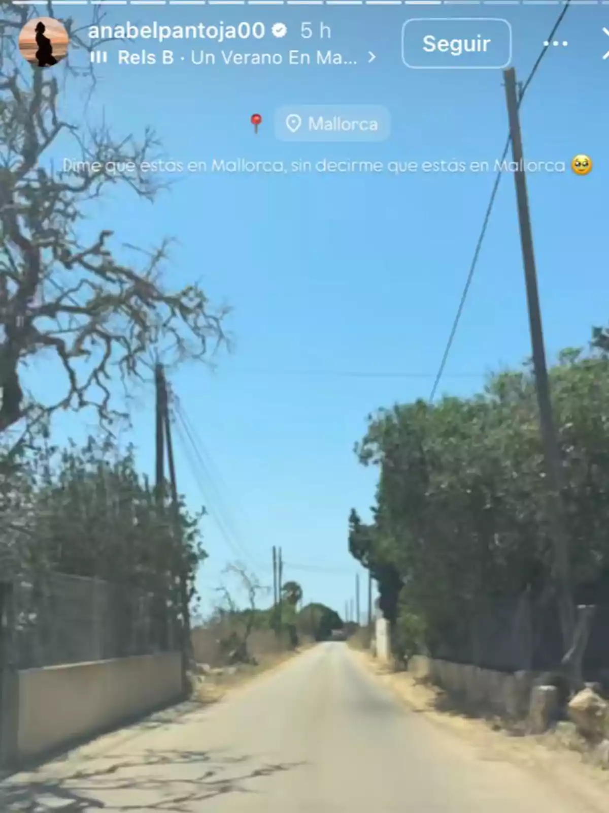 Carretera rural estrecha rodeada de árboles y vegetación bajo un cielo despejado en un día soleado Carretera rural estrecha rodeada de árboles y vegetación bajo un cielo despejado en un día soleado