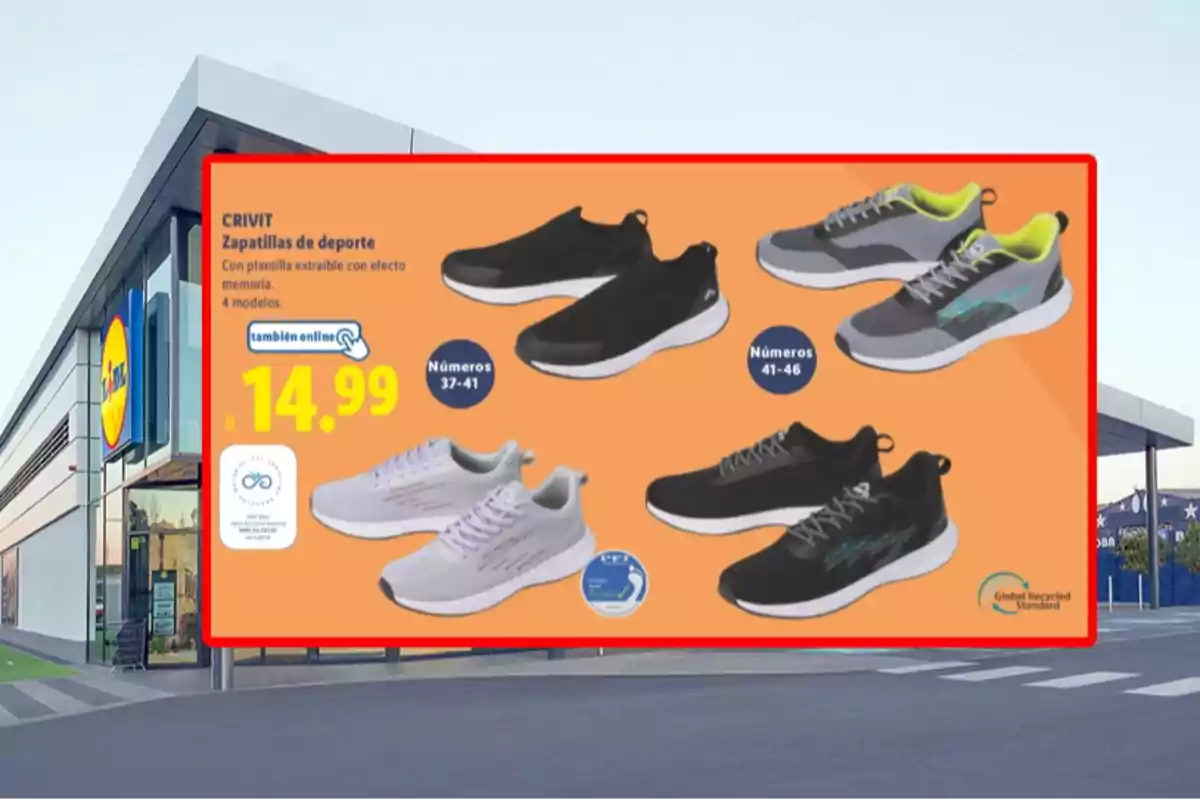 Publicidad de zapatillas deportivas Crivit en una tienda Lidl mostrando cuatro modelos diferentes con precios y tallas disponibles Publicidad de zapatillas deportivas Crivit en una tienda Lidl mostrando cuatro modelos diferentes con precios y tallas disponibles