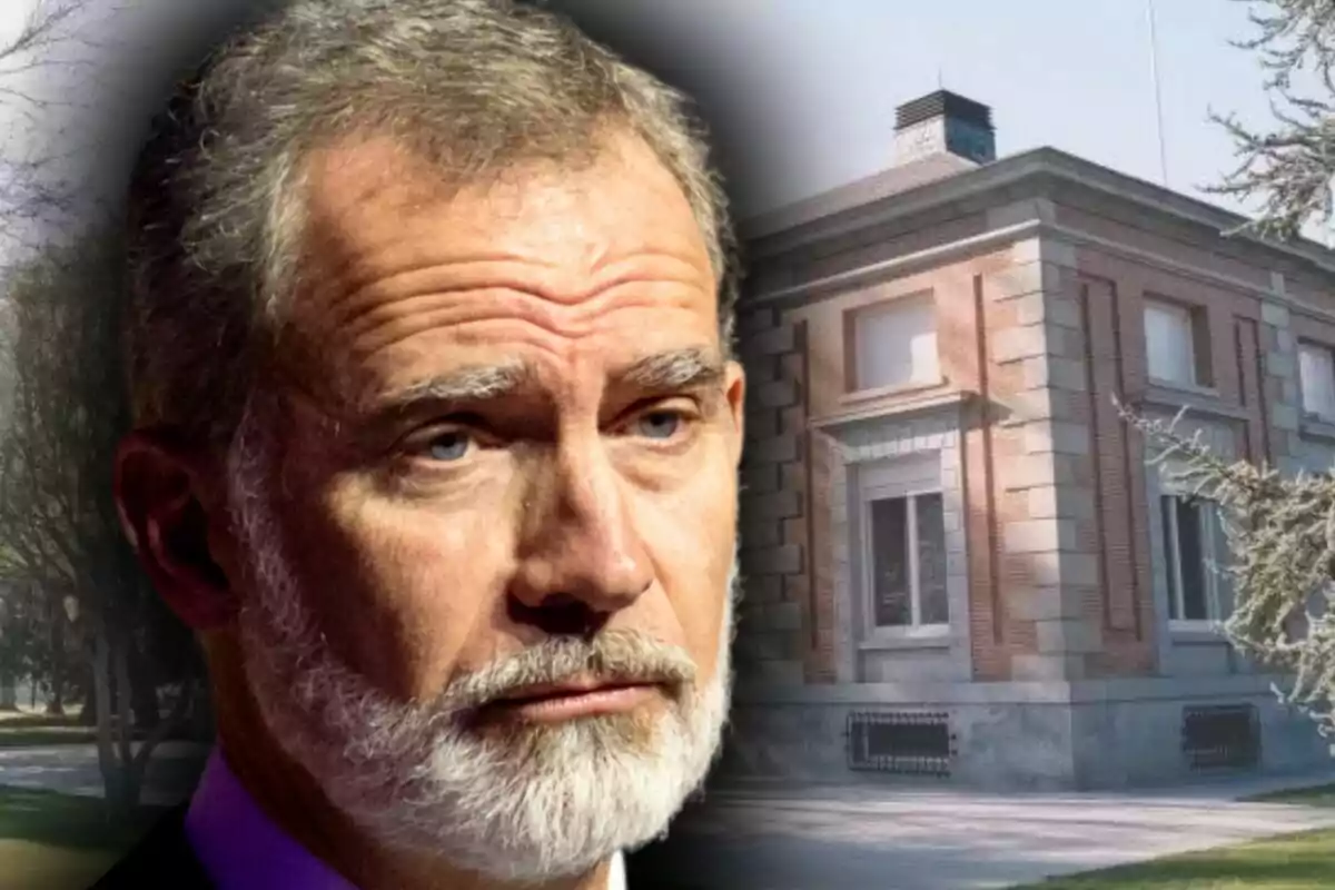 Close-up of Felipe VI with a graying beard and a serious expression, and in the background, an image of the Zarzuela Palace.