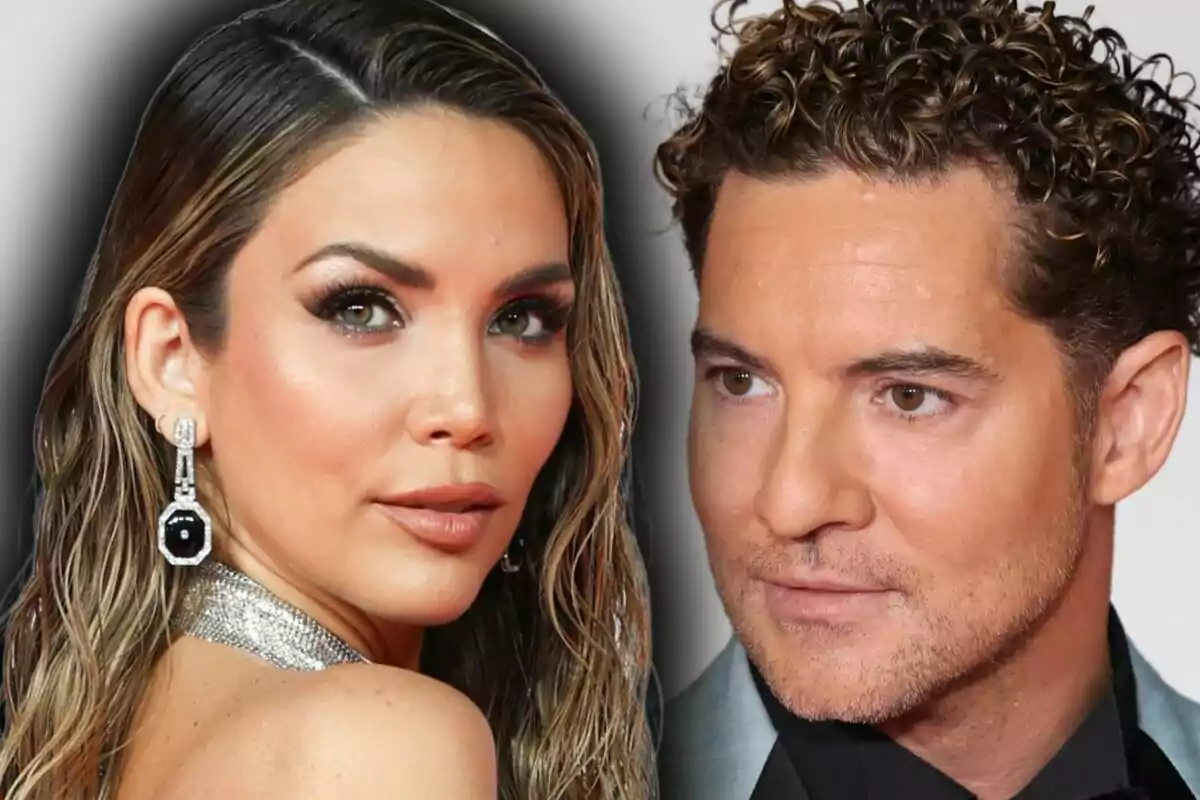 Montaje de fotos de primer plano de Rosanna Zanetti y David Bisbal, ambos con rostro serio.
