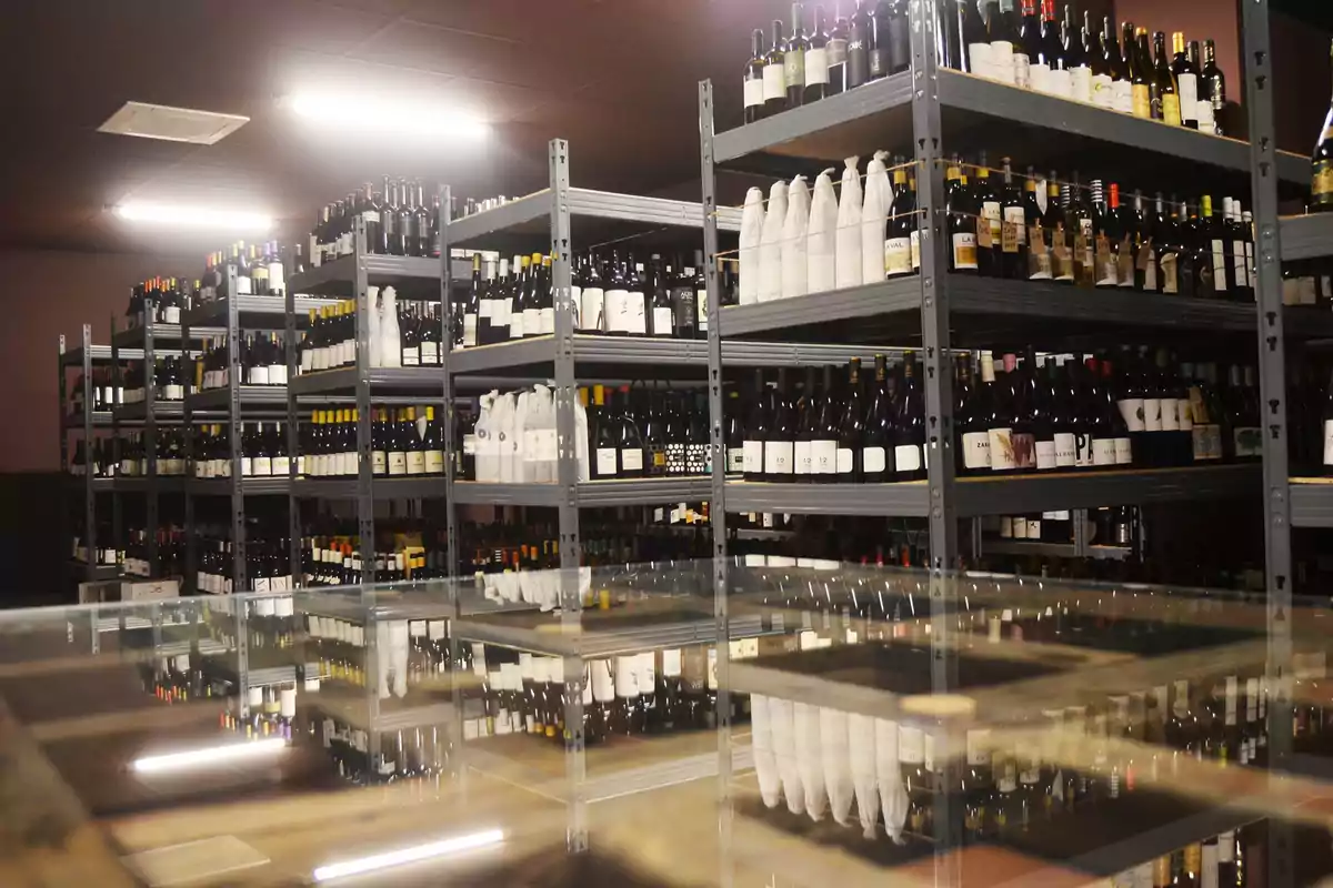 Estantes metálicos llenos de botellas de vino organizadas en una bodega con iluminación artificial y reflejo en una superficie de vidrio