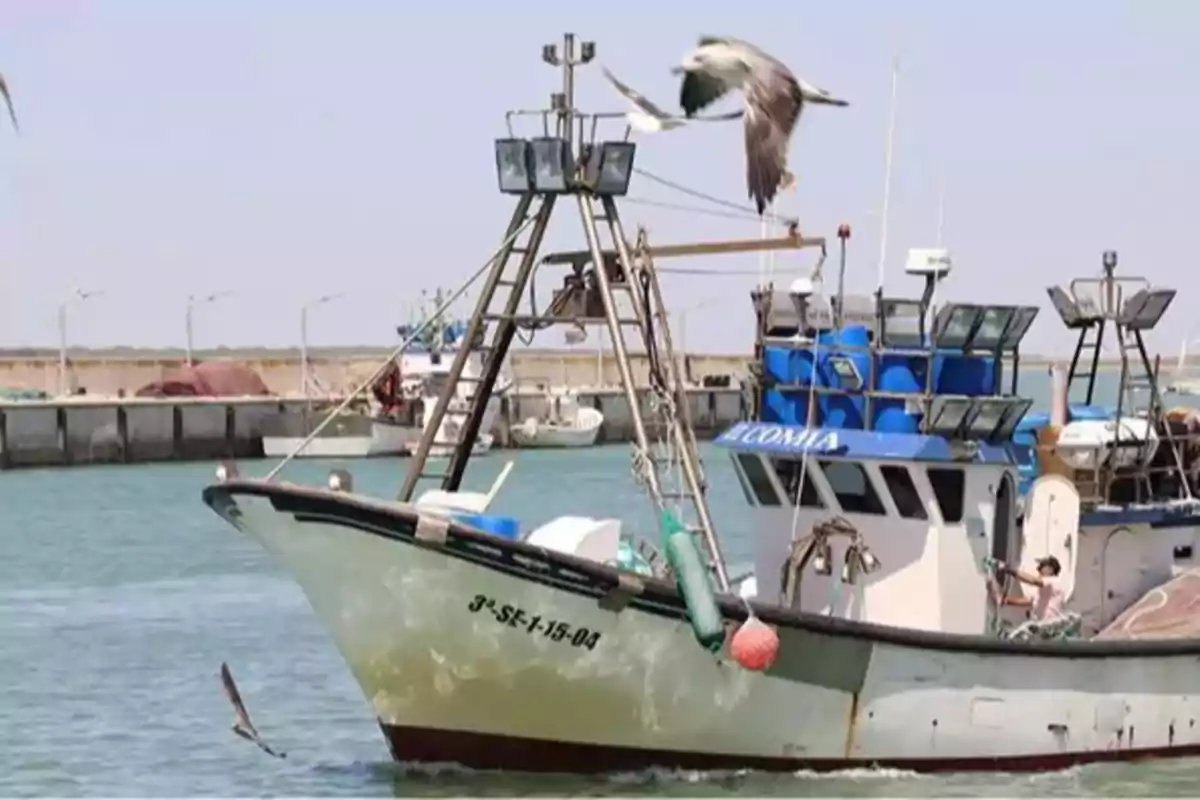 Barco pesquero navegando cerca de un puerto con gaviotas volando alrededor Barco pesquero navegando cerca de un puerto con gaviotas volando alrededor