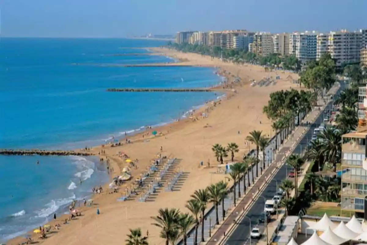 Vista panorámica de una playa amplia con arena dorada, sombrillas, mar azul y una avenida bordeada de palmeras junto a edificios altos Vista panorámica de una playa amplia con arena dorada, sombrillas, mar azul y una avenida bordeada de palmeras junto a edificios altos