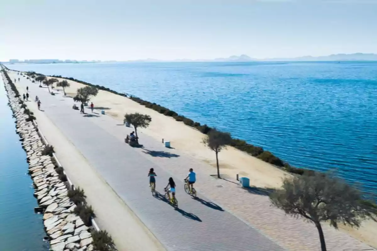 Personas paseando y andando en bicicleta por un camino junto al mar en un día soleado