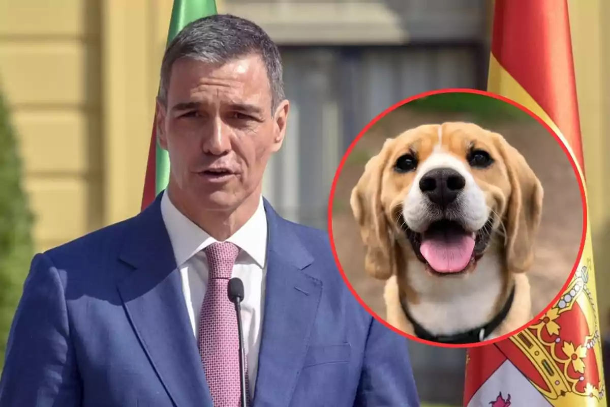 Hombre con traje azul y corbata rosa hablando frente a micrófono con banderas de fondo y un círculo que muestra la imagen de un perro beagle sonriente