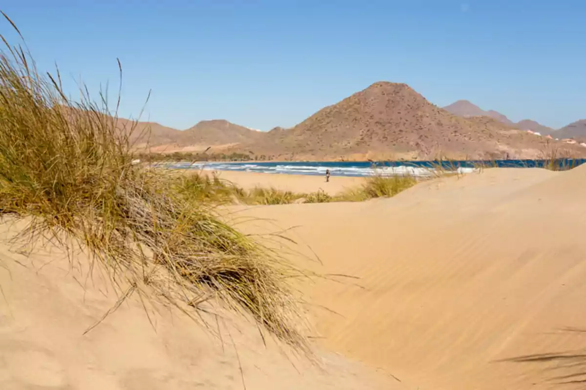 Dunas de arena con vegetación y montañas al fondo junto al mar bajo un cielo despejado Dunas de arena con vegetación y montañas al fondo junto al mar bajo un cielo despejado