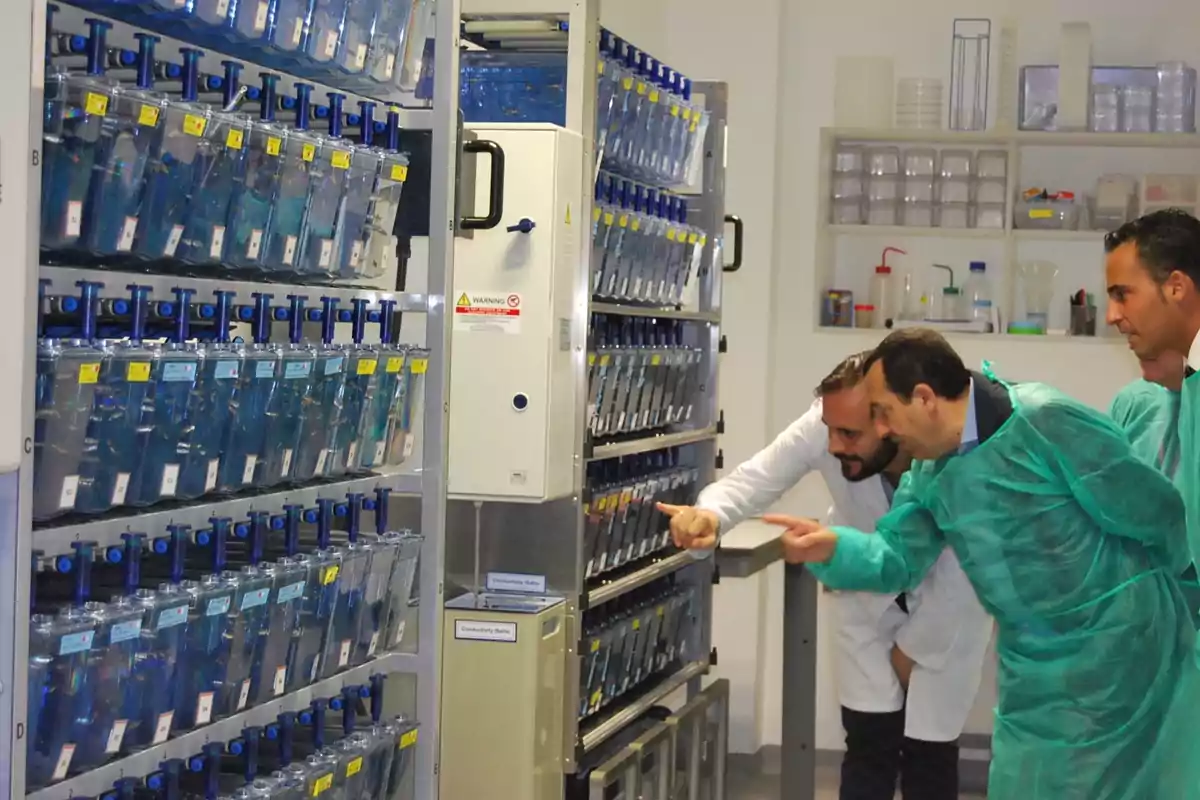 Tres personas observan y señalan tanques de peces en un laboratorio equipado con estanterías llenas de recipientes transparentes y material científico al fondo Tres personas observan y señalan tanques de peces en un laboratorio equipado con estanterías llenas de recipientes transparentes y material científico al fondo