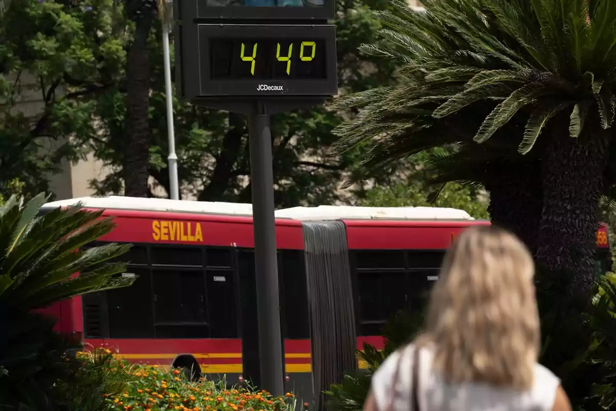 Una mujer camina cerca de un termómetro urbano que marca 44 grados mientras un autobús rojo de Sevilla pasa al fondo rodeado de vegetación. Una mujer camina cerca de un termómetro urbano que marca 44 grados mientras un autobús rojo de Sevilla pasa al fondo rodeado de vegetación.