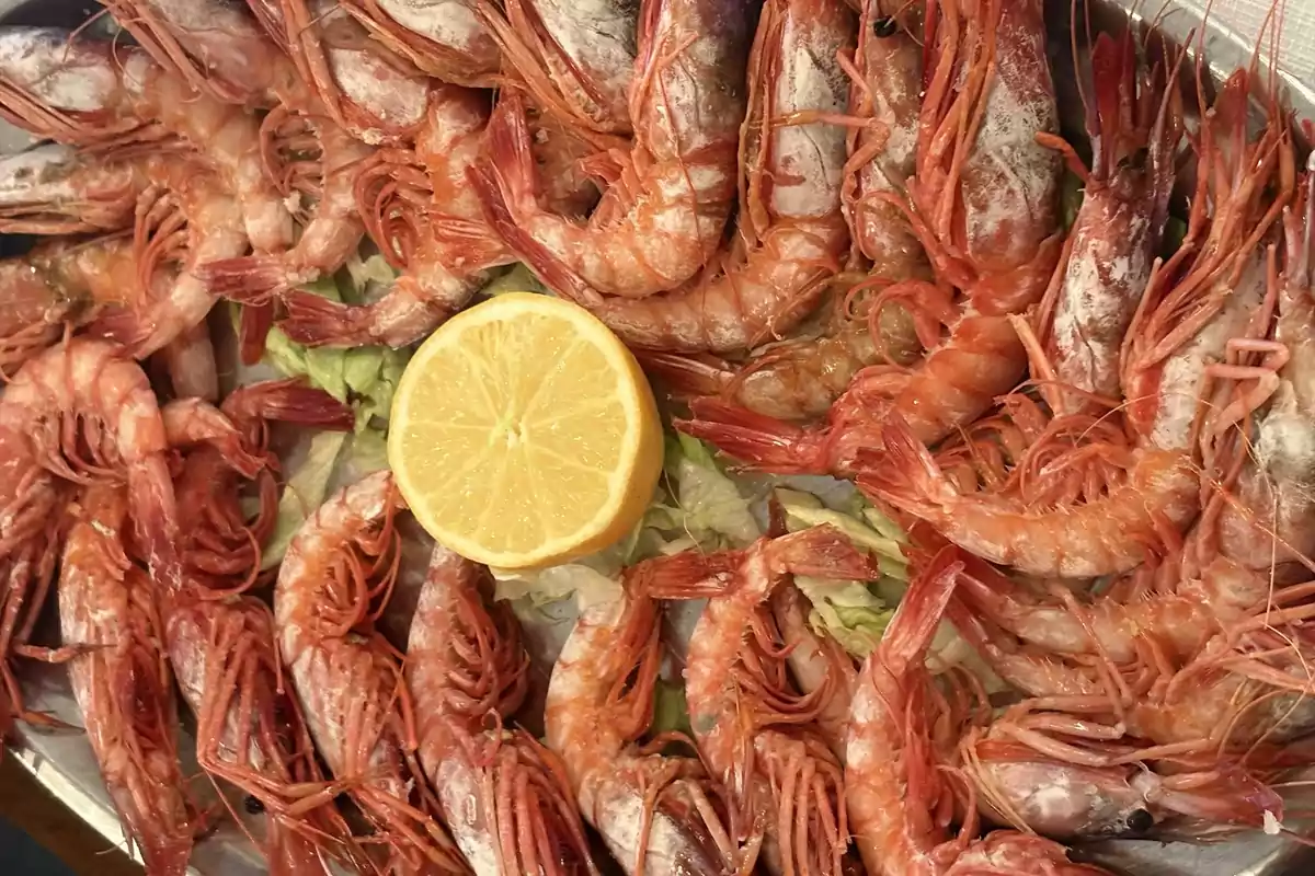 Camarones cocidos servidos en una bandeja con una rodaja de limón al centro sobre una cama de lechuga Camarones cocidos servidos en una bandeja con una rodaja de limón al centro sobre una cama de lechuga