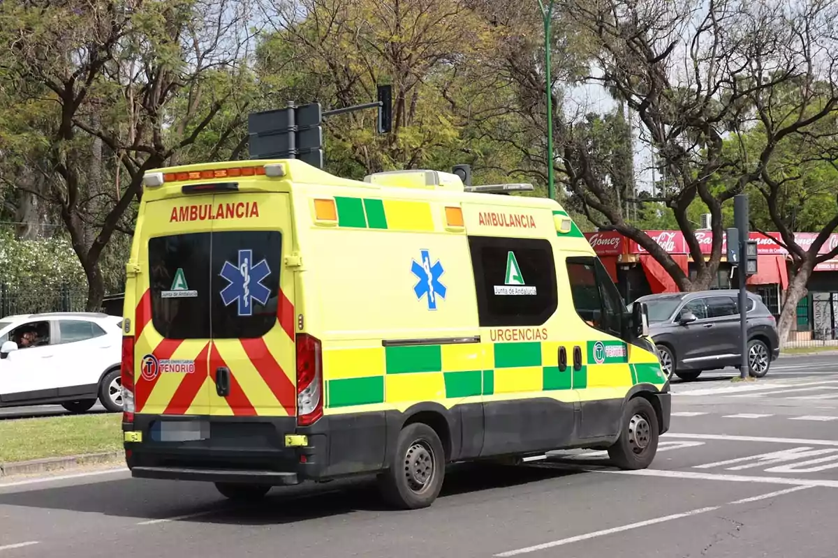 Ambulancia amarilla con franjas verdes y rojas circulando por una calle rodeada de árboles y coches Ambulancia amarilla con franjas verdes y rojas circulando por una calle rodeada de árboles y coches