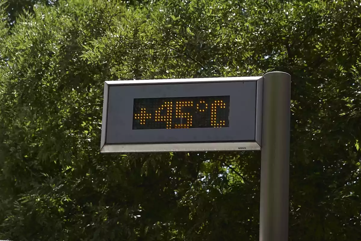 Termómetro digital en la calle marcando 45 grados centígrados con árboles de fondo