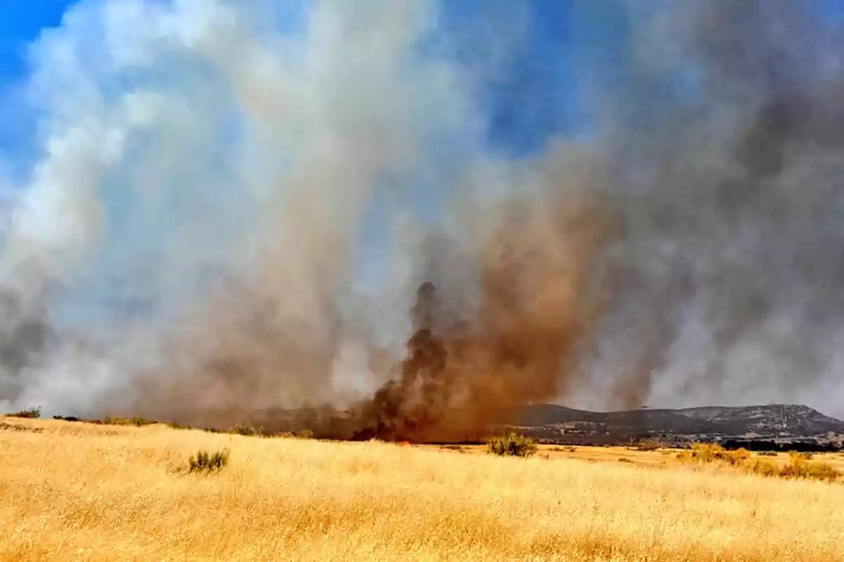 Campo de pasto seco con un incendio que genera una gran columna de humo bajo un cielo azul Campo de pasto seco con un incendio que genera una gran columna de humo bajo un cielo azul
