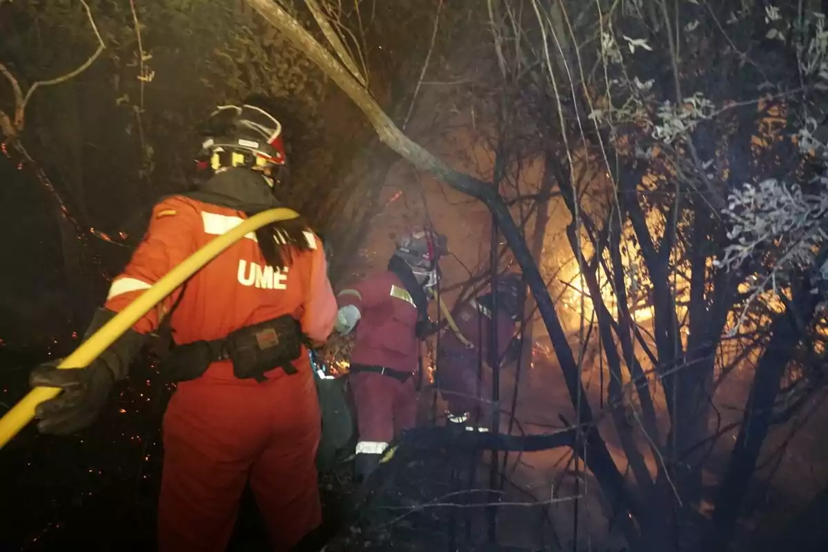 Bomberos de la UME combatiendo un incendio forestal entre árboles y humo Bomberos de la UME combatiendo un incendio forestal entre árboles y humo