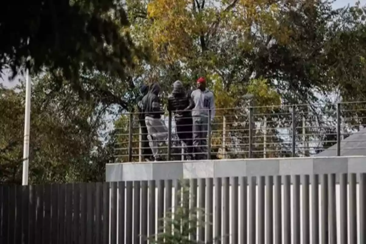 Cuatro personas con ropa deportiva y sudaderas están de pie sobre una estructura elevada junto a una barandilla, rodeados de árboles. Cuatro personas con ropa deportiva y sudaderas están de pie sobre una estructura elevada junto a una barandilla, rodeados de árboles.