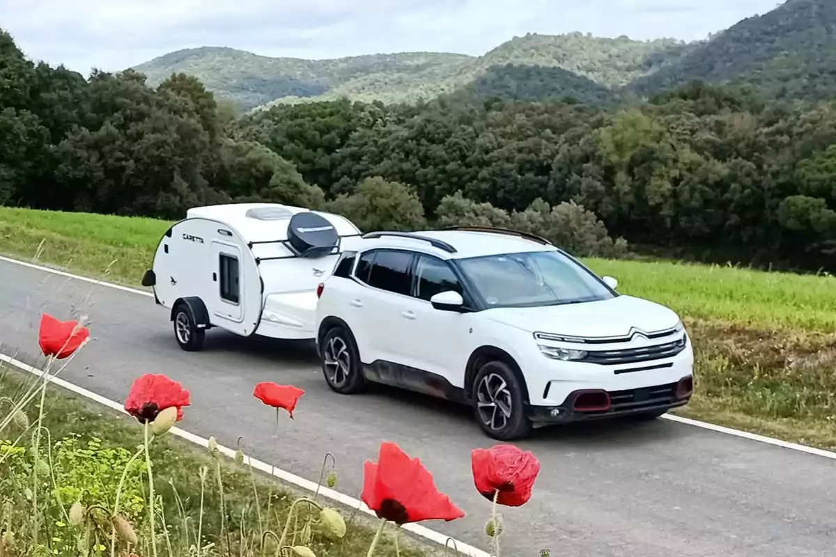 Auto blanco con remolque pequeño estacionado en una carretera rural rodeada de vegetación y flores rojas con montañas al fondo