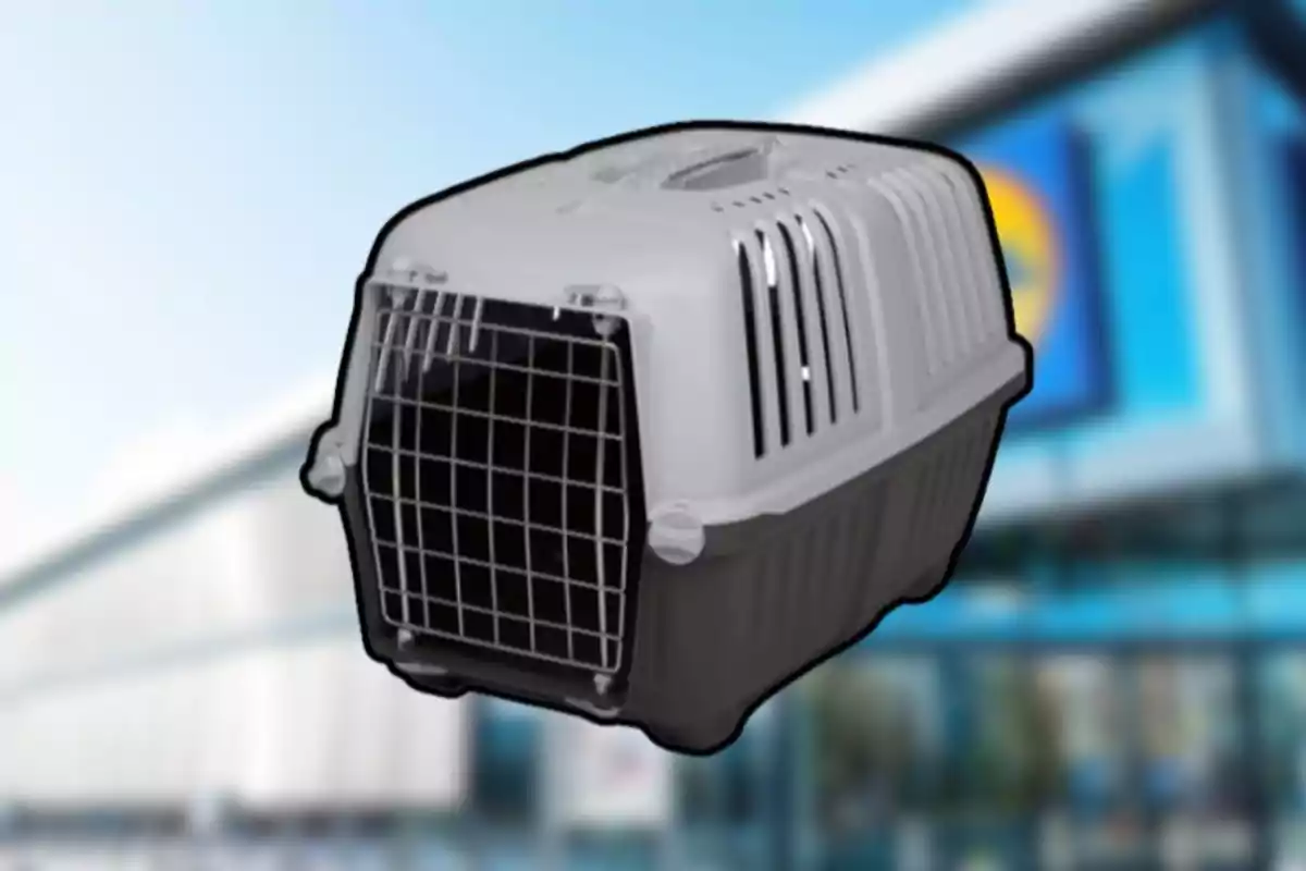 Transportadora de plástico gris y negro para mascotas con puerta de rejilla metálica frente a un edificio desenfocado. Transportadora de plástico gris y negro para mascotas con puerta de rejilla metálica frente a un edificio desenfocado.