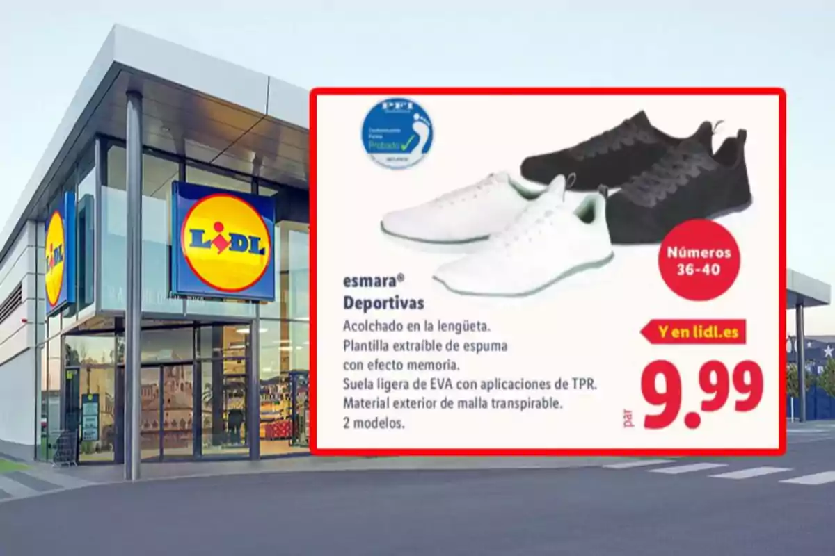 Tienda Lidl con un cartel promocional de zapatillas deportivas Esmara en colores blanco y negro, disponibles en tallas 36 a 40 por 9,99 euros Tienda Lidl con un cartel promocional de zapatillas deportivas Esmara en colores blanco y negro, disponibles en tallas 36 a 40 por 9,99 euros