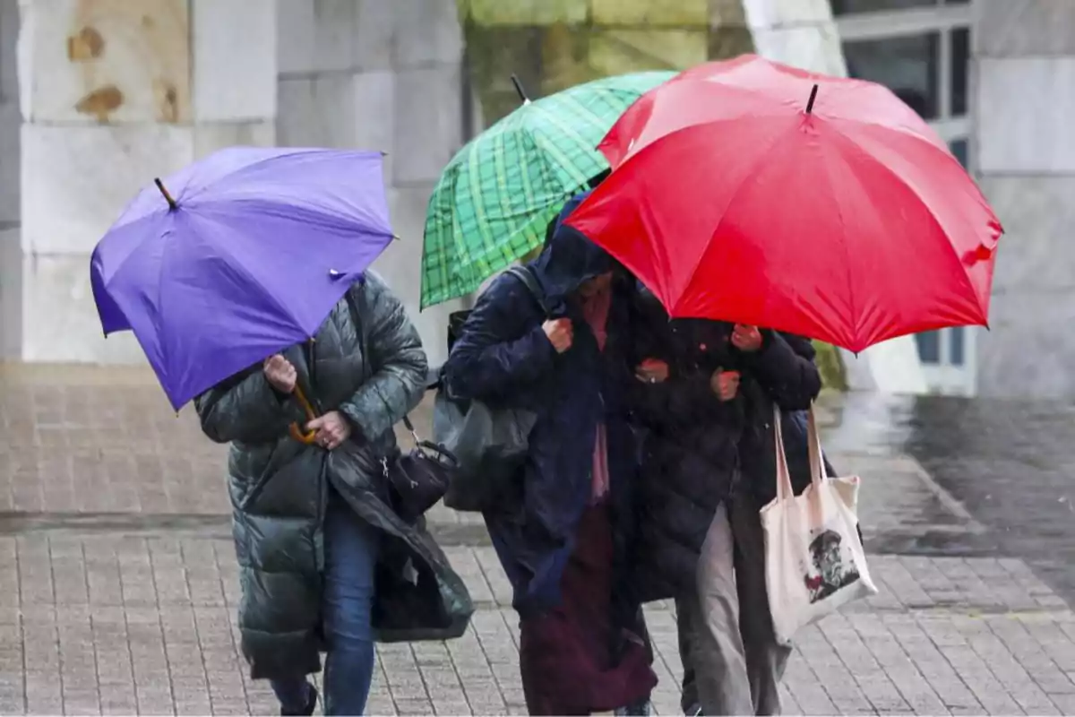 Tres personas caminan bajo la lluvia cubriéndose con paraguas de colores rojo, verde y morado