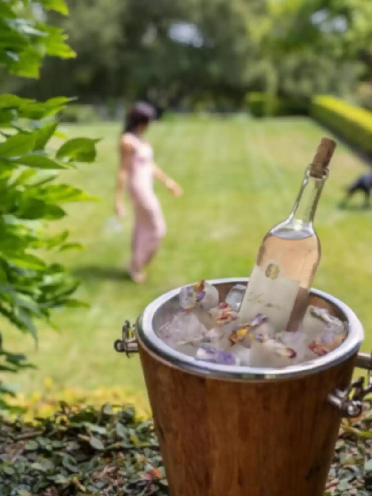 Bottle of rosé wine in a wooden bucket with ice decorated with flowers in a garden, in the background a blurred person walking on the grass Bottle of rosé wine in a wooden bucket with ice decorated with flowers in a garden, in the background a blurred person walking on the grass