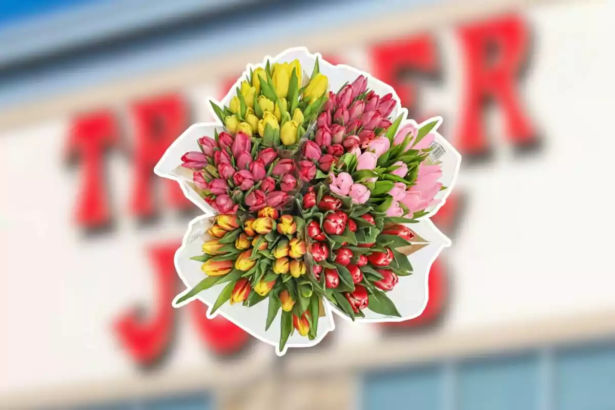Bouquet of multicolored tulips in front of a blurry store sign Bouquet of multicolored tulips in front of a blurry store sign