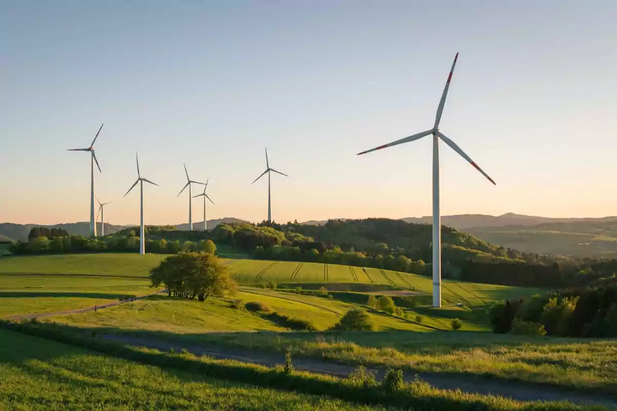 Varios aerogeneradores en un campo verde al atardecer con colinas al fondo