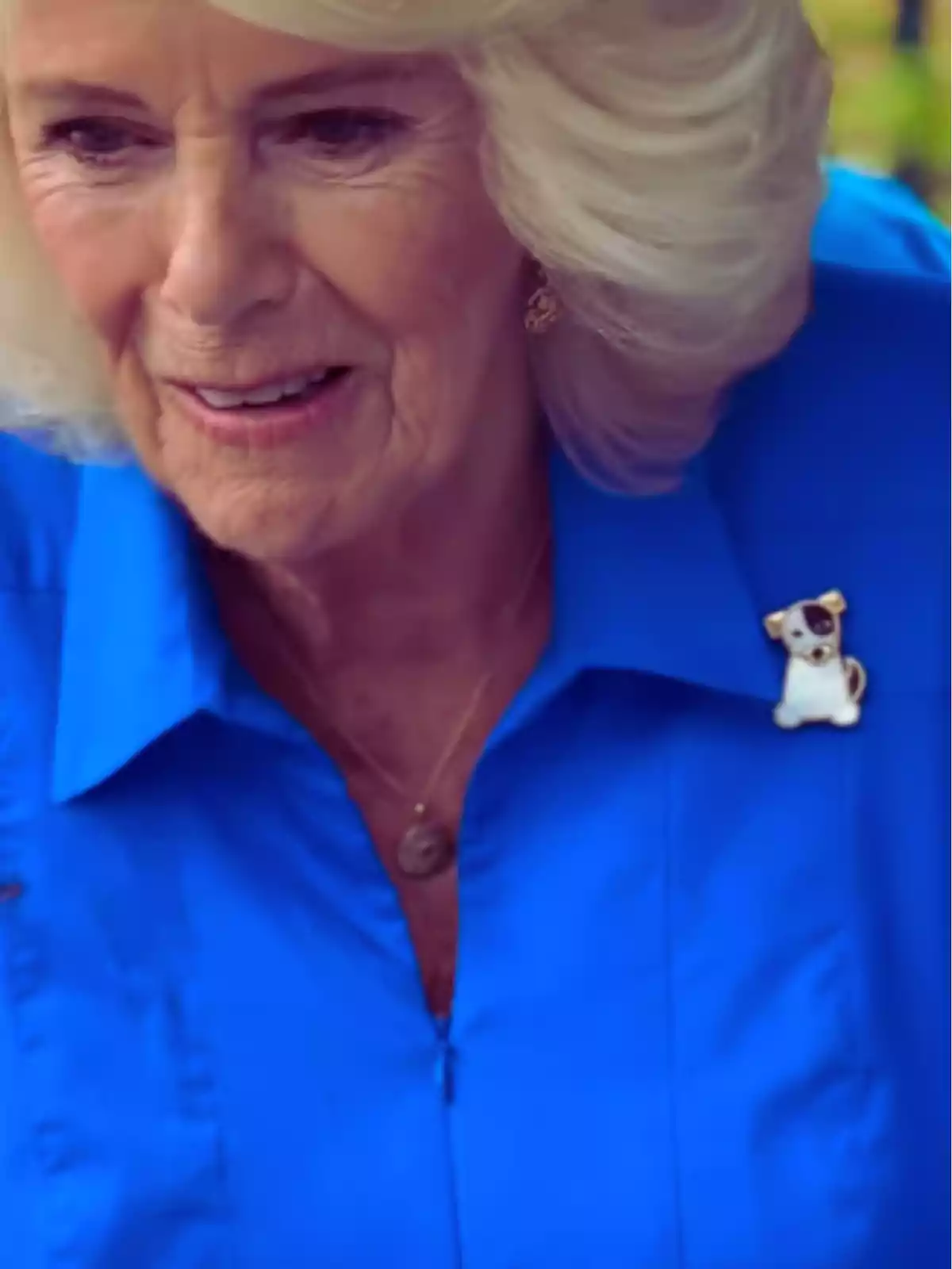 Short-haired blonde woman wearing a blue blouse and a dog-shaped brooch on the lapel Short-haired blonde woman wearing a blue blouse and a dog-shaped brooch on the lapel