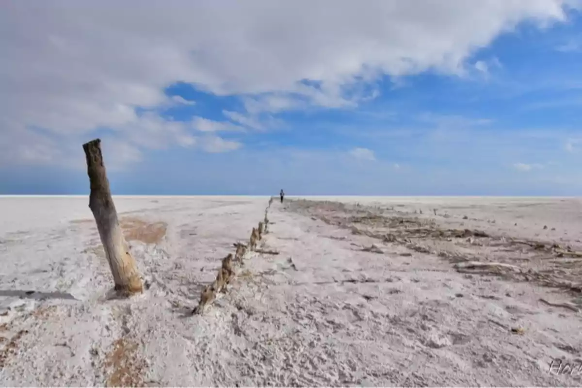 Paisaje desértico con suelo blanco y seco, un tronco inclinado en primer plano y una persona caminando a lo lejos bajo un cielo parcialmente nublado