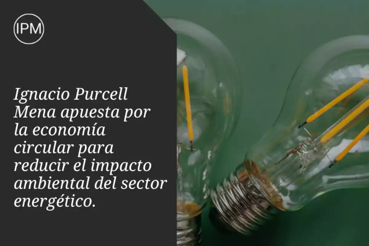 Ignacio Purcell Mena promueve la economía circular en el sector energético