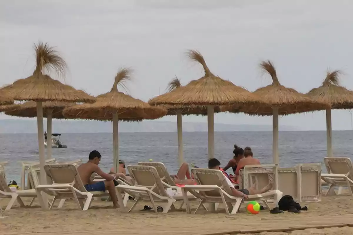 Personas descansando en camastros bajo sombrillas de paja en una playa con mar de fondo y un cielo nublado Personas descansando en camastros bajo sombrillas de paja en una playa con mar de fondo y un cielo nublado