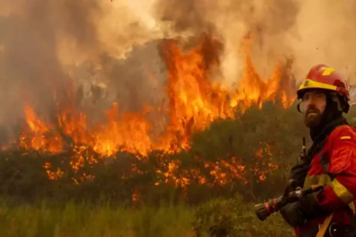 Un bombero con uniforme rojo observa un incendio forestal mientras sostiene una manguera rodeado de llamas y humo denso Un bombero con uniforme rojo observa un incendio forestal mientras sostiene una manguera rodeado de llamas y humo denso