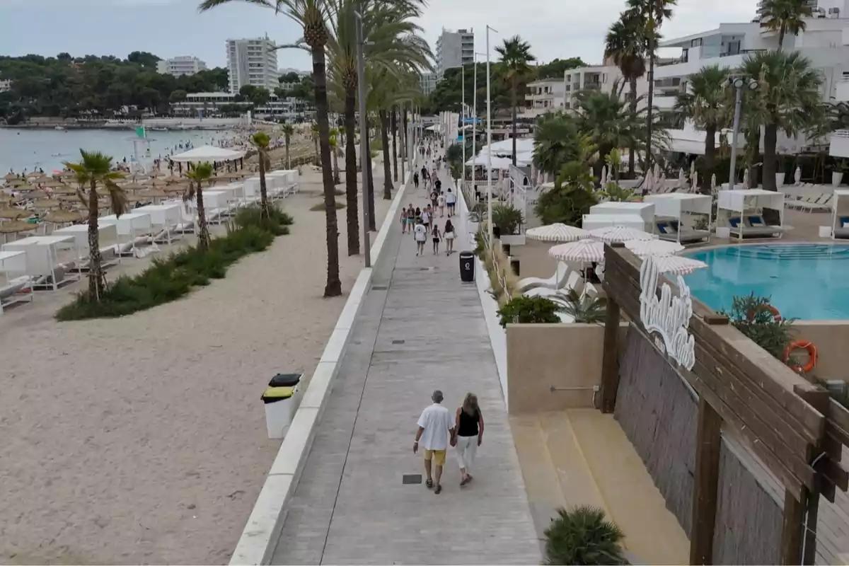 Paseo peatonal junto a la playa con palmeras, personas caminando y hoteles al fondo Paseo peatonal junto a la playa con palmeras, personas caminando y hoteles al fondo