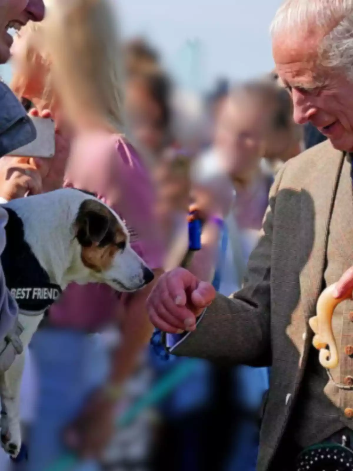 Un hombre mayor sonríe mientras sostiene una serpiente clara frente a un perro pequeño con arnés que dice Un hombre mayor sonríe mientras sostiene una serpiente clara frente a un perro pequeño con arnés que dice