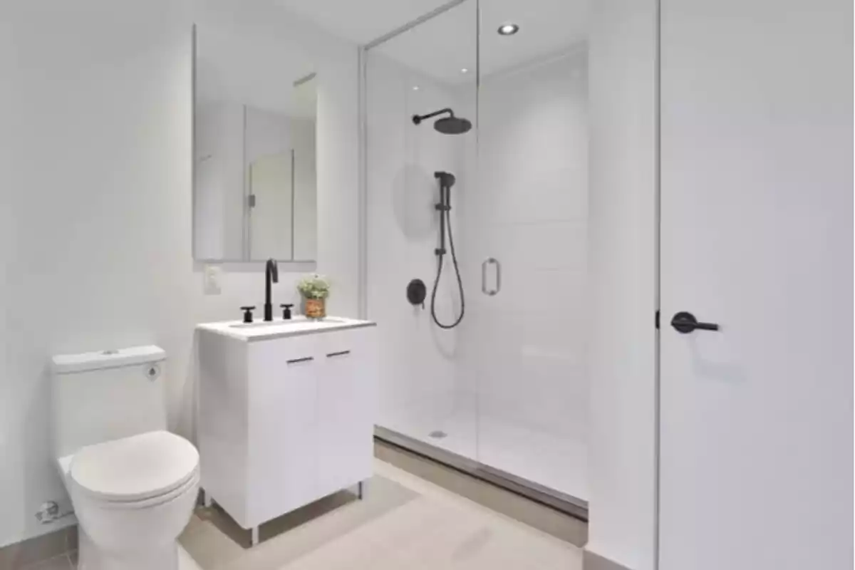 Baño moderno con paredes blancas, inodoro, lavabo con grifería negra, espejo, planta decorativa y ducha con mampara de vidrio Baño moderno con paredes blancas, inodoro, lavabo con grifería negra, espejo, planta decorativa y ducha con mampara de vidrio