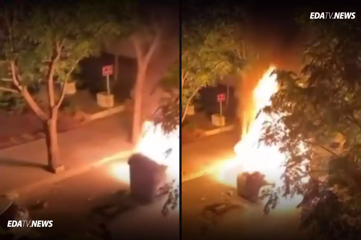 Contenedor de basura ardiendo en llamas en una calle durante la noche rodeado de árboles y señalización urbana