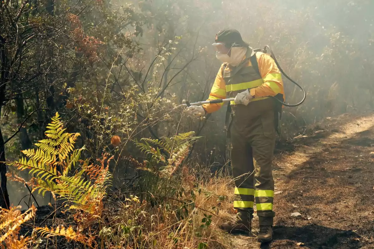 Persona con equipo de protección apaga un incendio forestal en una zona boscosa Persona con equipo de protección apaga un incendio forestal en una zona boscosa