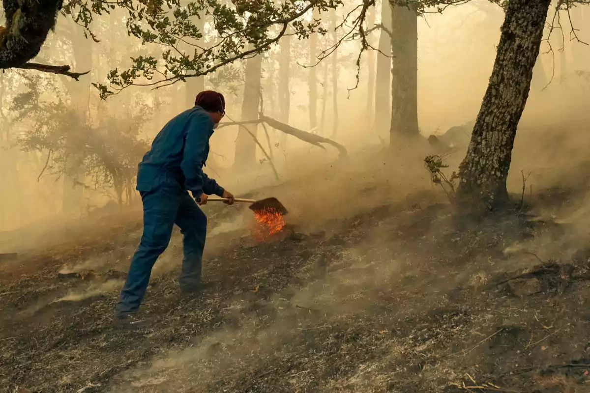 Persona con pala apagando un incendio forestal en un bosque lleno de humo Persona con pala apagando un incendio forestal en un bosque lleno de humo