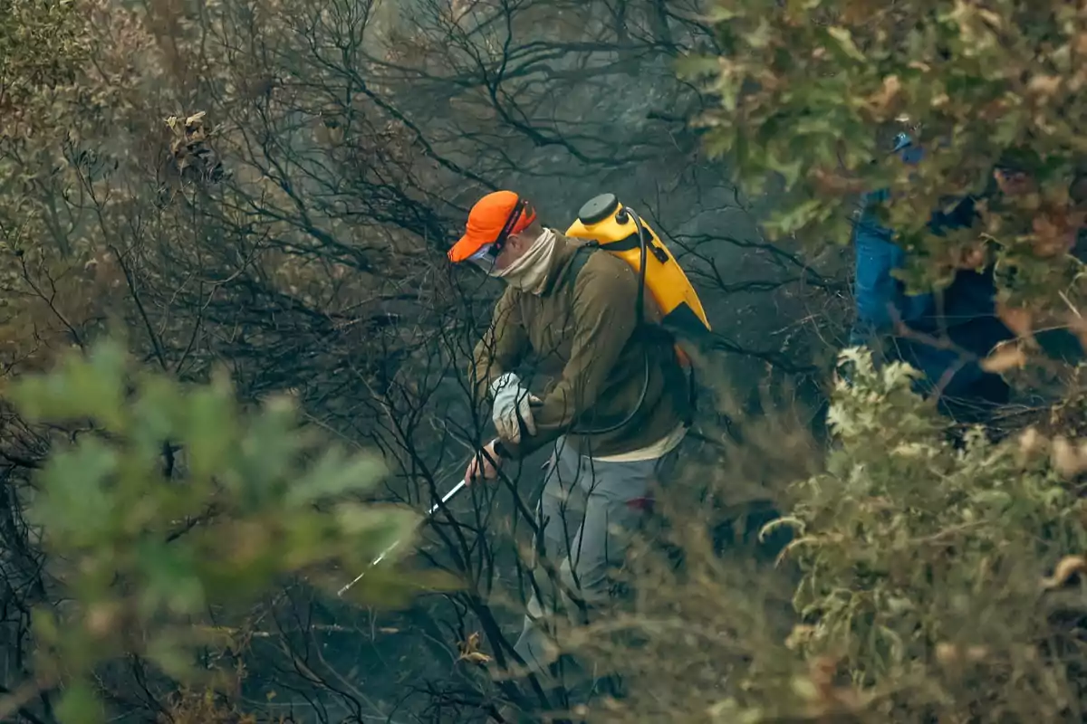 Persona con gorra naranja y mochila amarilla apagando un incendio forestal entre ramas quemadas Persona con gorra naranja y mochila amarilla apagando un incendio forestal entre ramas quemadas