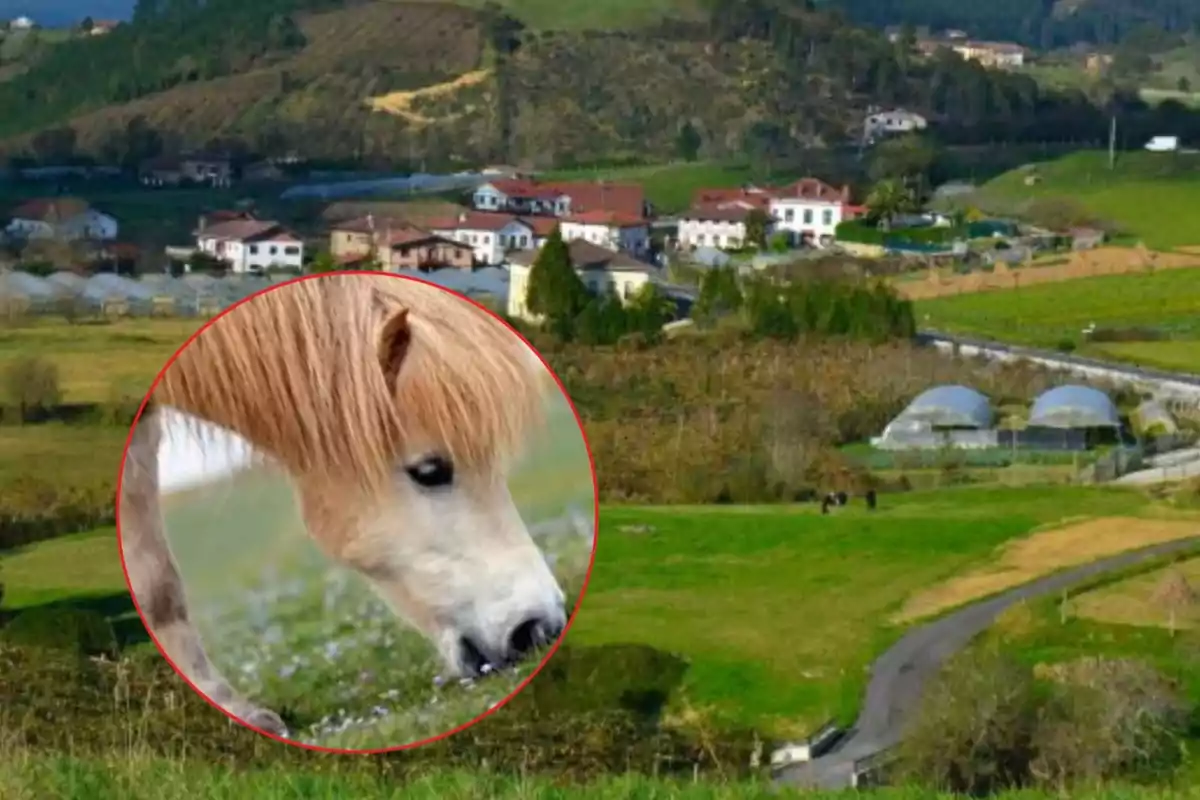 Un paisaje rural con casas y colinas verdes al fondo y un círculo en primer plano que muestra un caballo pequeño de color claro pastando.