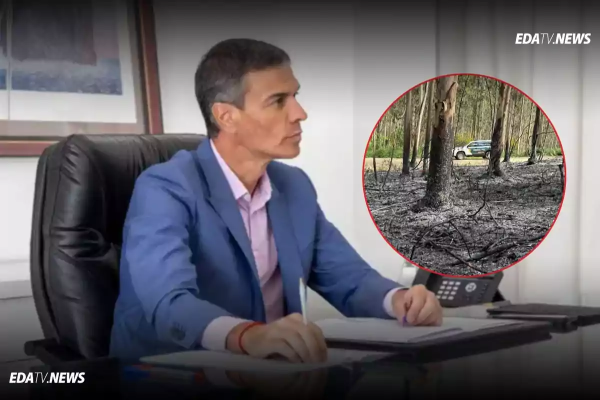 Hombre de traje azul sentado en una oficina con una imagen circular superpuesta que muestra un bosque quemado y un coche al fondo