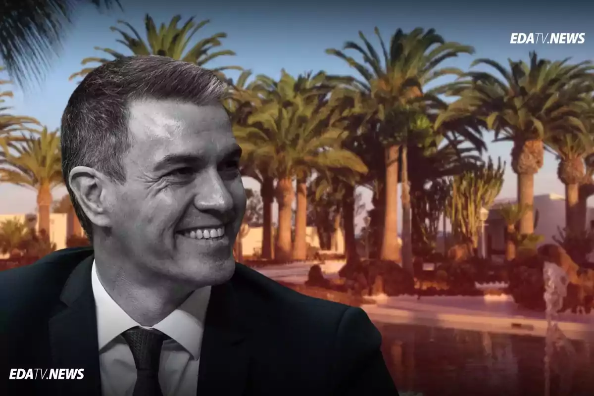 Hombre sonriente en primer plano con fondo de palmeras y piscina en un entorno soleado