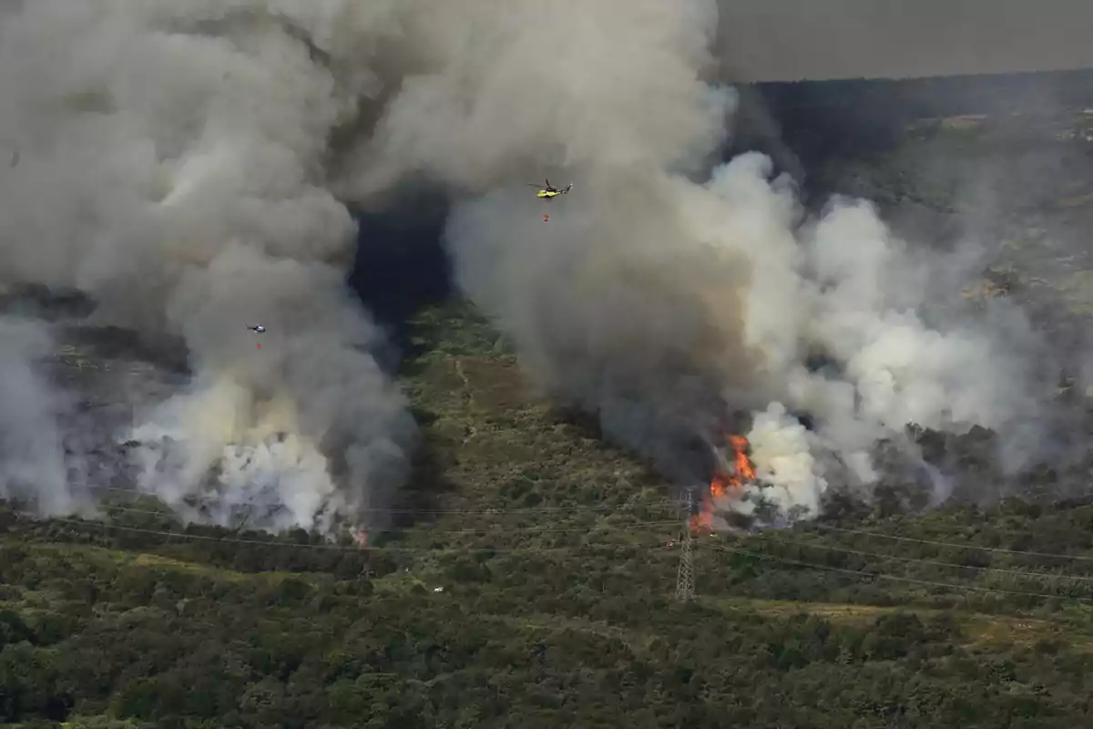 Incendio forestal en una zona montañosa con helicópteros trabajando para apagar el fuego y grandes columnas de humo elevándose sobre el bosque