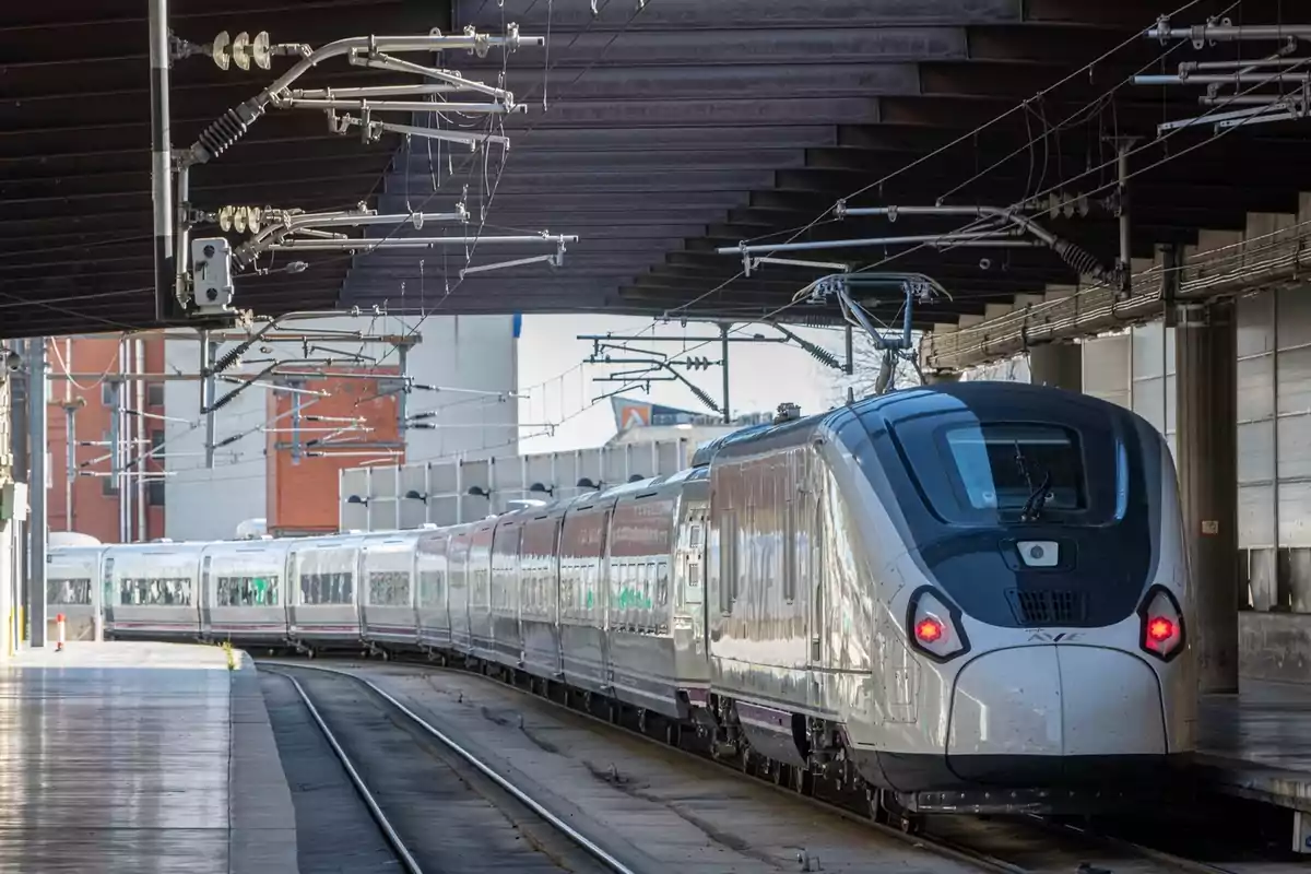Tren moderno de alta velocidad detenido en una estación cubierta