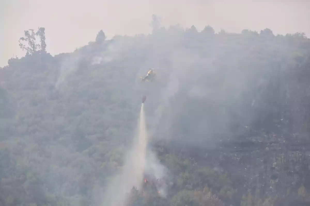 Helicóptero arrojando agua sobre un incendio forestal en una zona montañosa cubierta de humo Helicóptero arrojando agua sobre un incendio forestal en una zona montañosa cubierta de humo